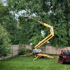 Best Tree Trimming and Pruning  in South Park, WY